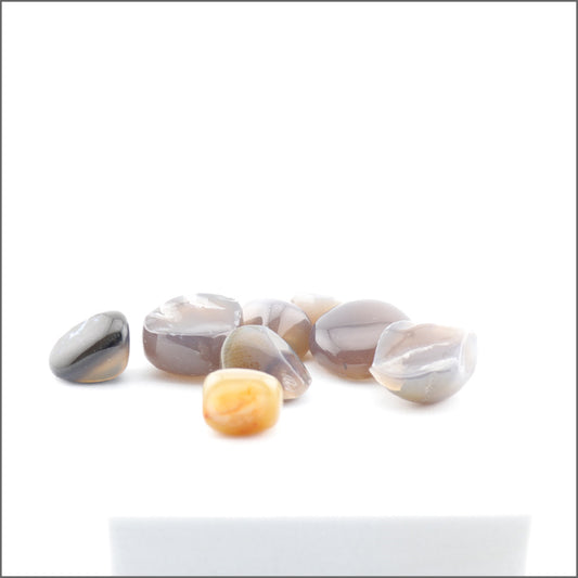 Tumbles en Agate Grise