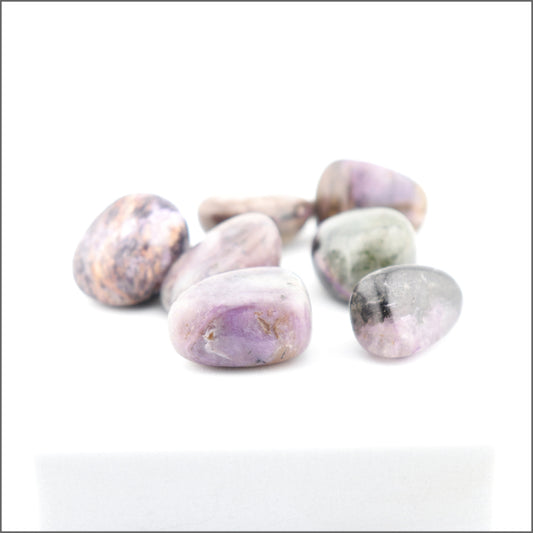 Tumbles en Charoite